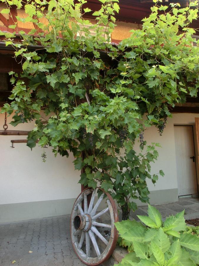 Hotel Zehnthof Geldersheim Exterior foto